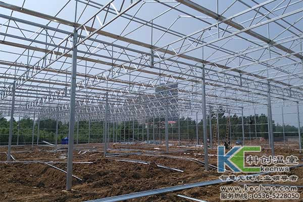 浙江新東陽建設集團有限公司