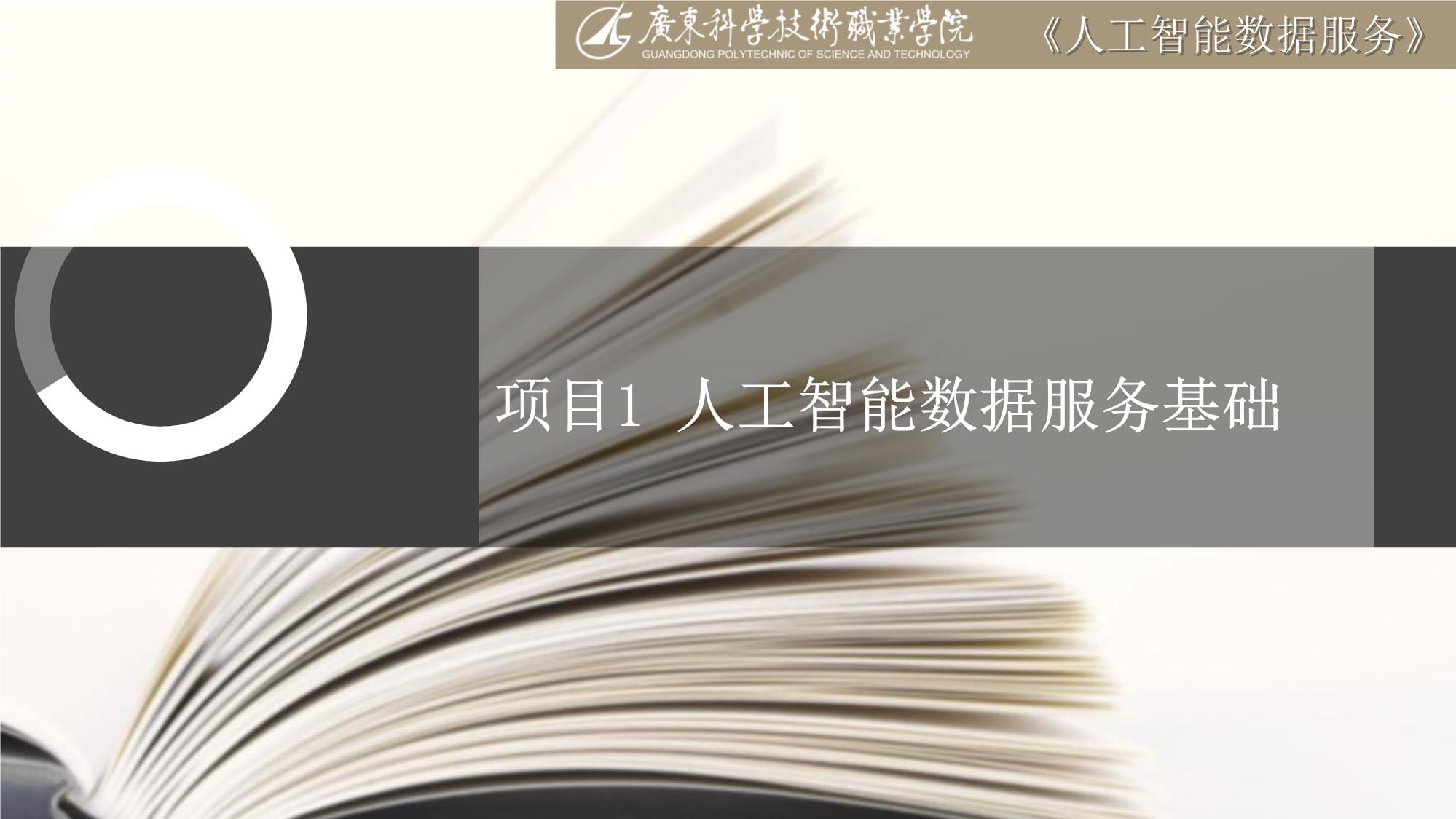 人工智能數(shù)據(jù)服務基礎 數(shù)據(jù)處理與數(shù)據(jù)處理服務